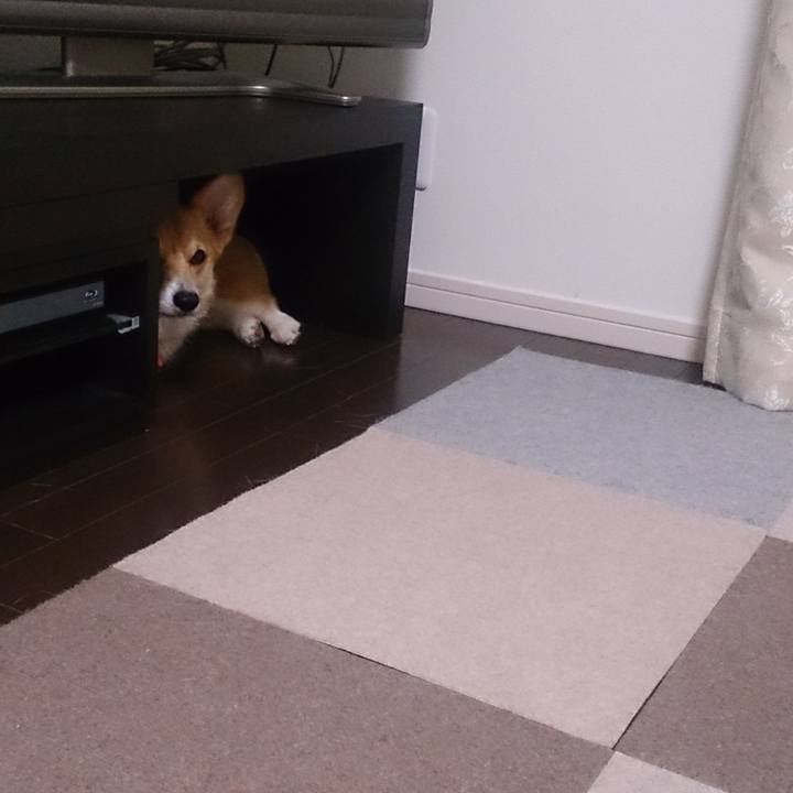 Cbc239aa 792f 469d 8b1a d898be9cf61f 1523891985915