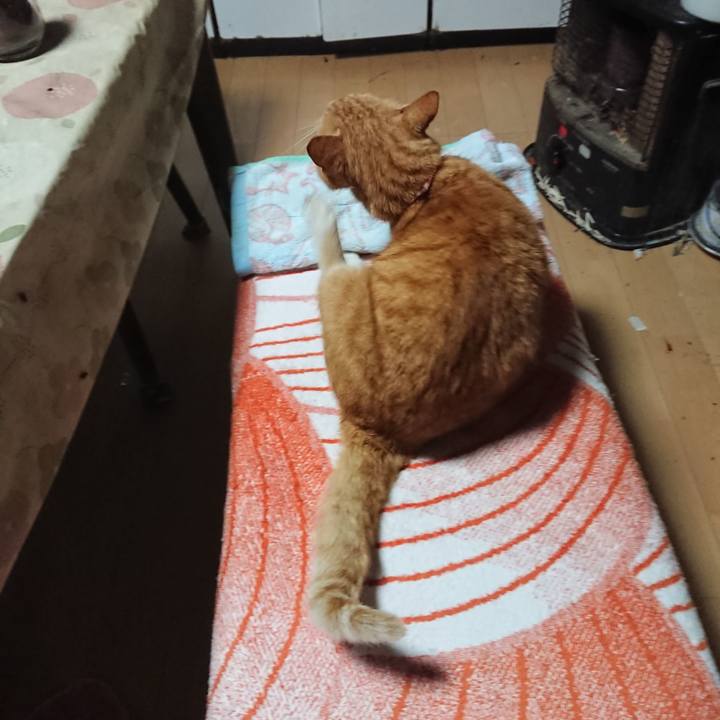 Cbc24102 fa32 4b3e 99b6 52ec5dca0e22 1603402712038