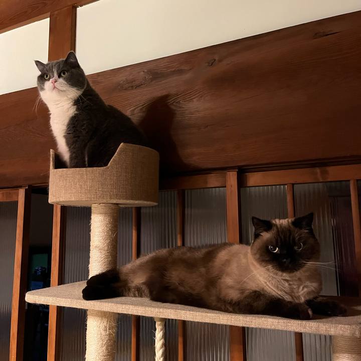 Cbc27752 6a7a 495d a1c9 d6d87e8e0827 1640059383011