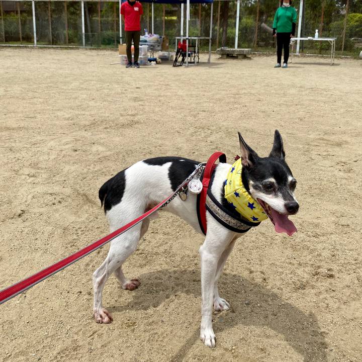 Cbc2df9a 27f0 4f12 81b5 3ed9e06c2f6d 1592721647738