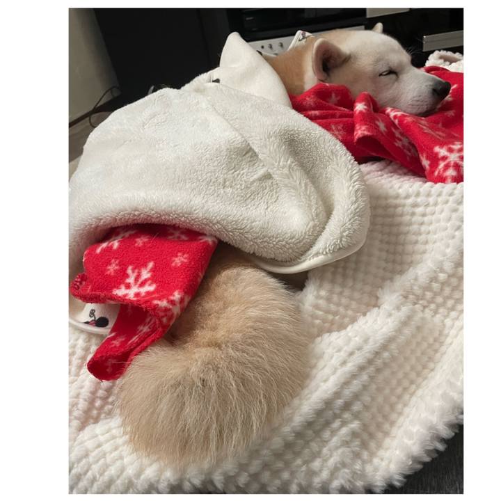 Cbc38221 9a12 4517 aebc 2c45ed787d33 1675489475563