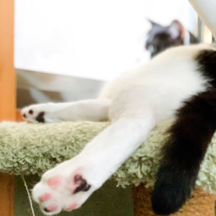 Cbc3873b e62e 4963 9682 b647b5ec9a0f 1565572584655