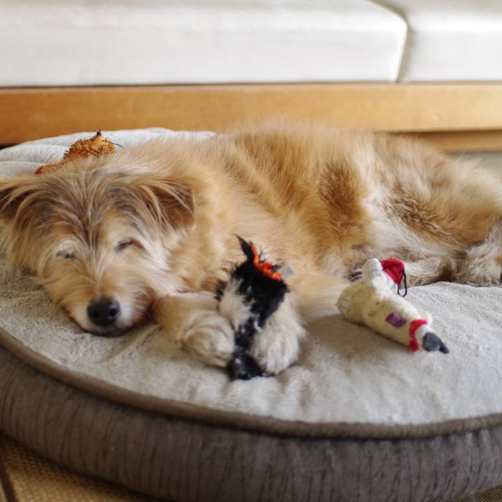 Cbc3c2d7 5b61 4991 8bd7 15ff2c3faf74 1612157735585