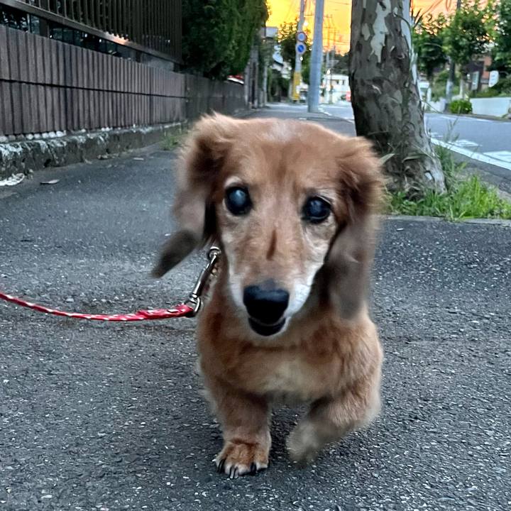 Cbc3e64b 9b05 47bb 95eb dd5dac2d987a 1659272919038