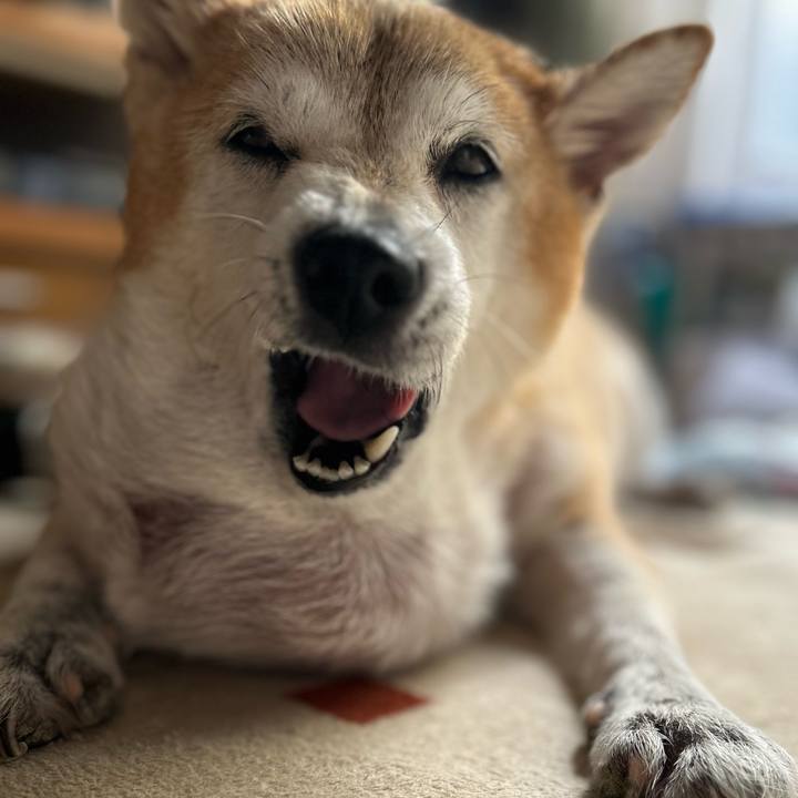 Cbc412e6 8932 477d 962c 9c7238b87822 1760761113796