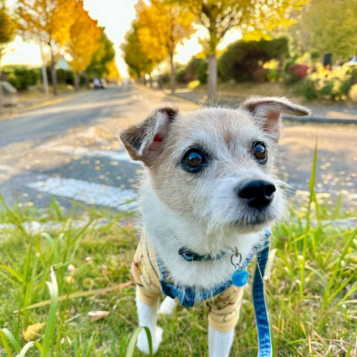 Cbc43927 fb11 468f a6eb aee46f3a4f87 1700815203754