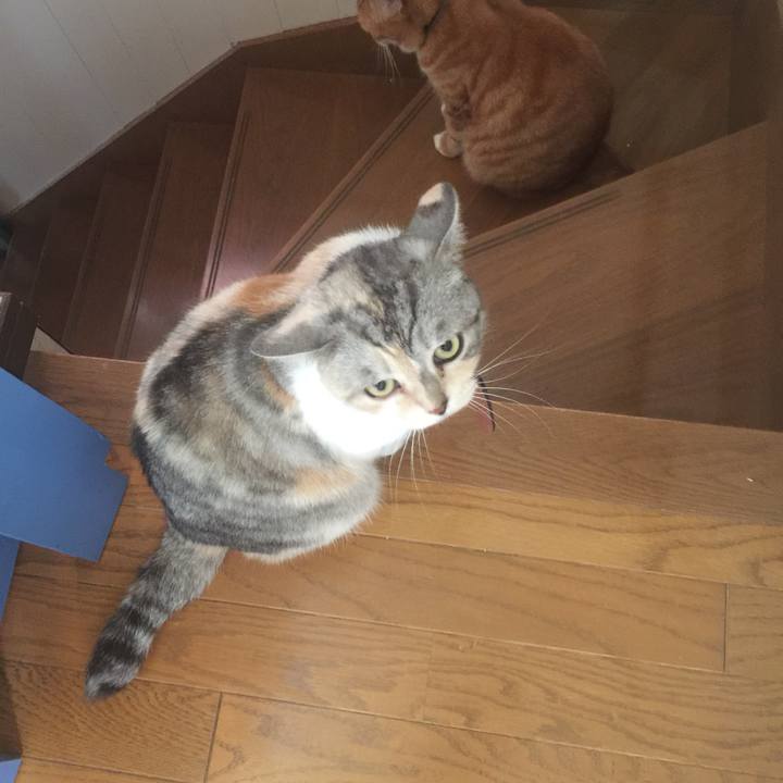 Cbc46a33 26e0 4aab bc7e 4ca73b231dc0 1562122124805