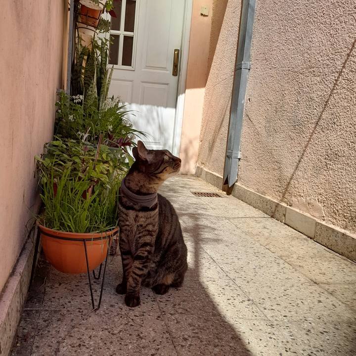 Cbc47e44 e2ea 4d6d a1ce d00d8ea12e71 1759283672400