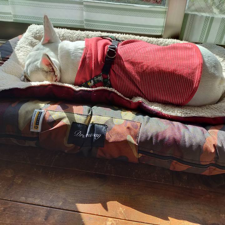 Cbc49640 b227 4772 acc0 2c6ee60e1c45 1636509124635