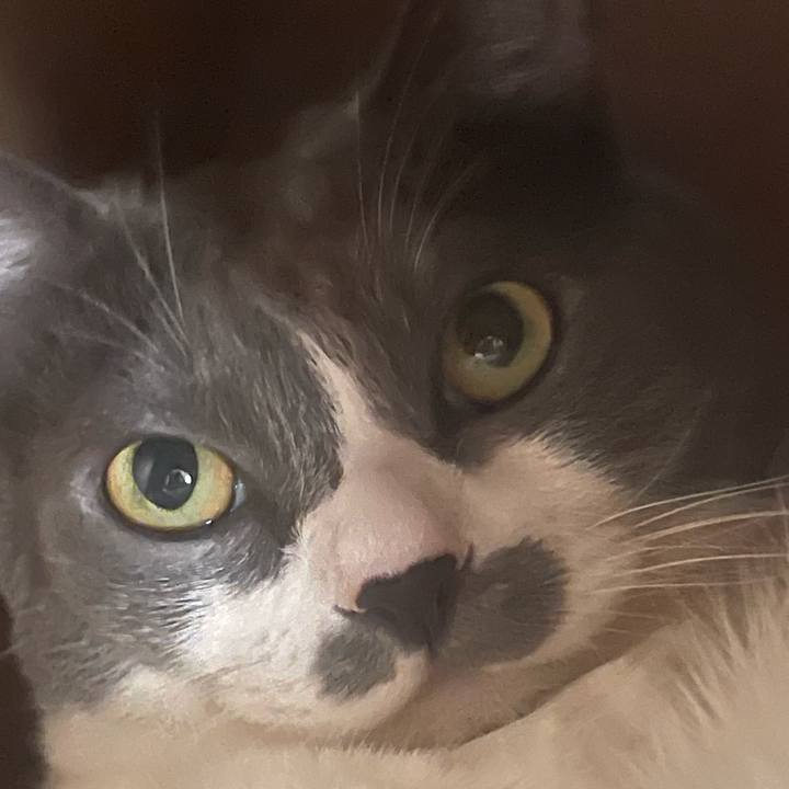 Cbc49c3c 3bdf 4c33 9ef0 d38ba5a96f98 1757209145088