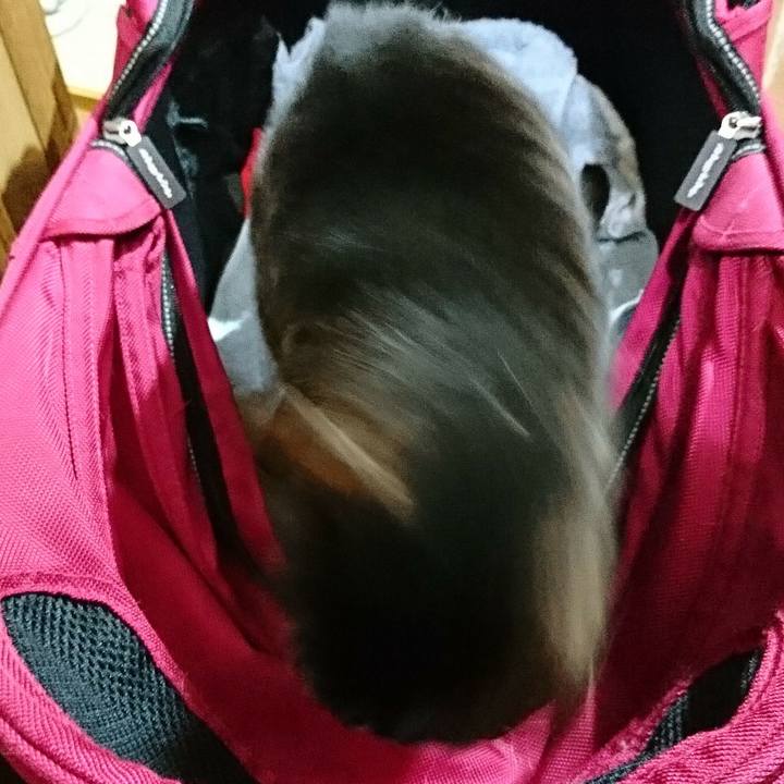 Cbc4b714 621f 4123 8f5e 8f2b0a53955e 1588064890851