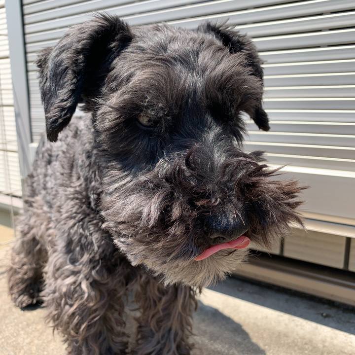 Cbc4bcbf efbf 424e 856d cad1b8b81f66 1587784722205