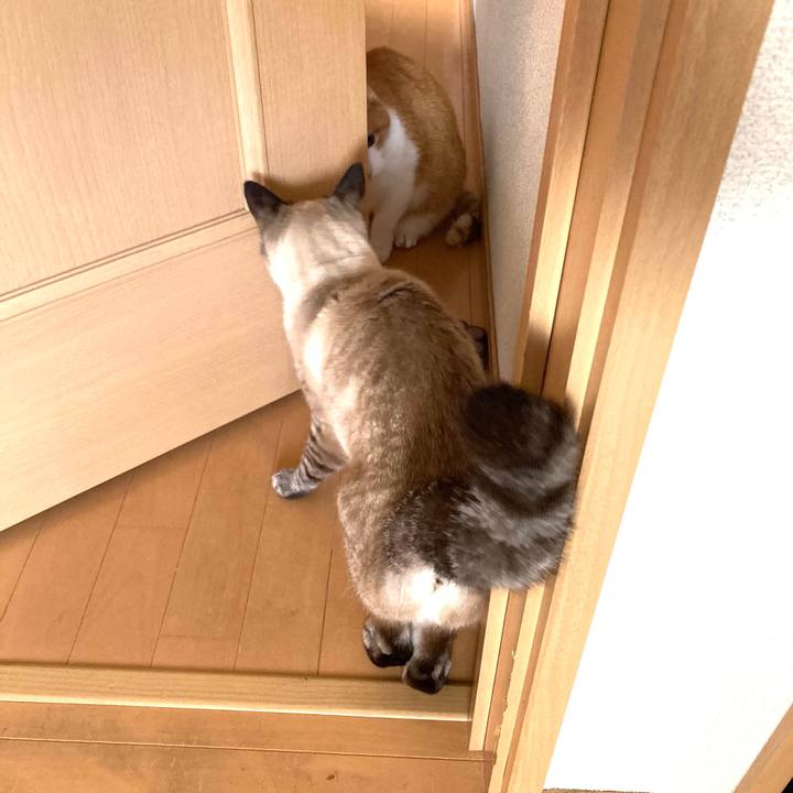 Cbc4c306 1ea1 466d 848b 3d71b96f3cb2 1776575315892