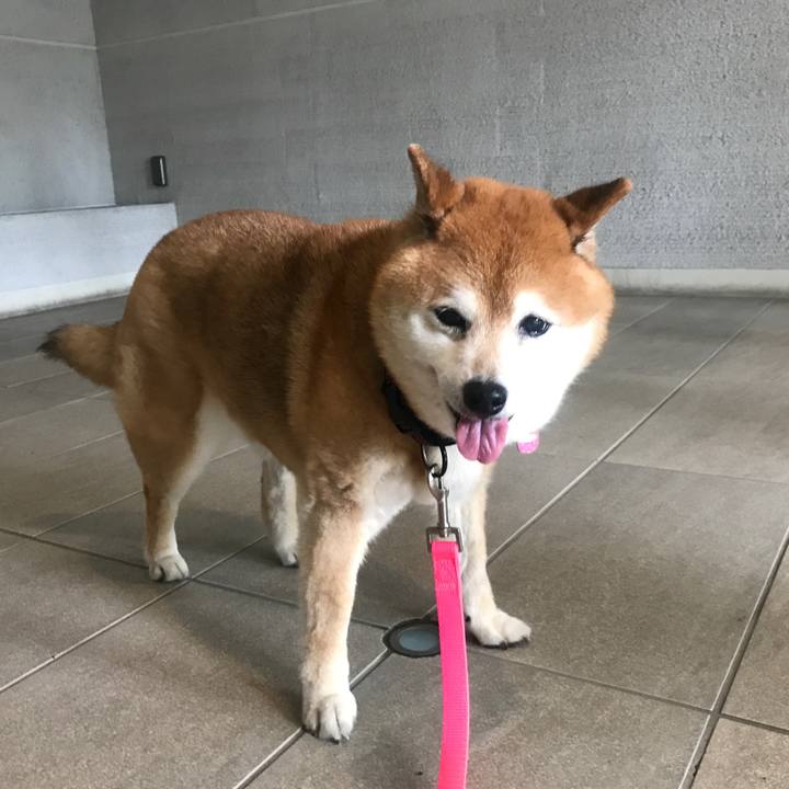 Cbc4e813 7374 4eb2 8371 cd069e64bc14 1591375503518