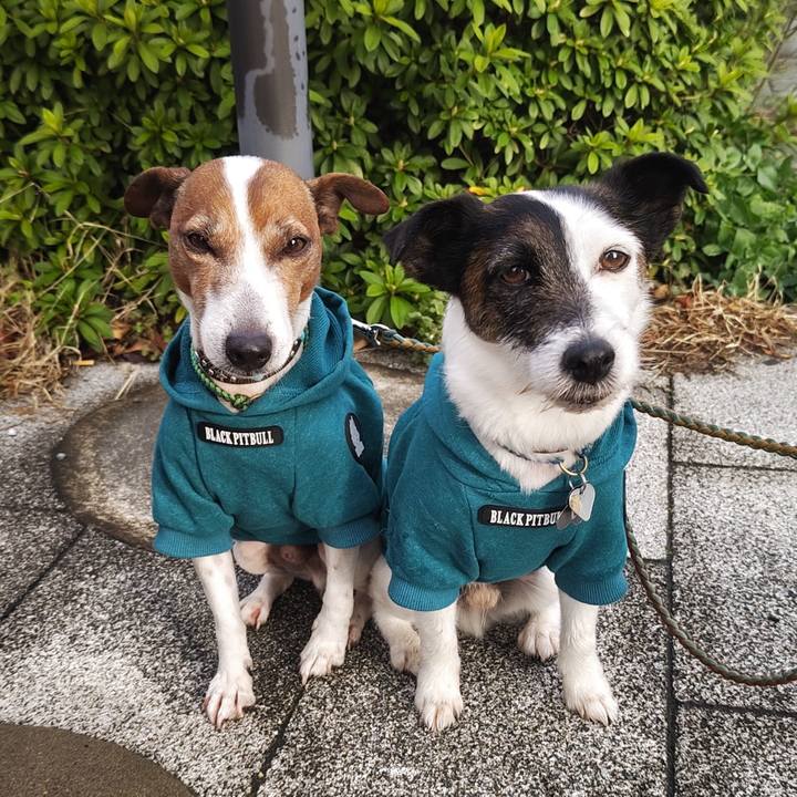 Cbc50eff 1382 46fa accf f818bd91491c 1743717432456