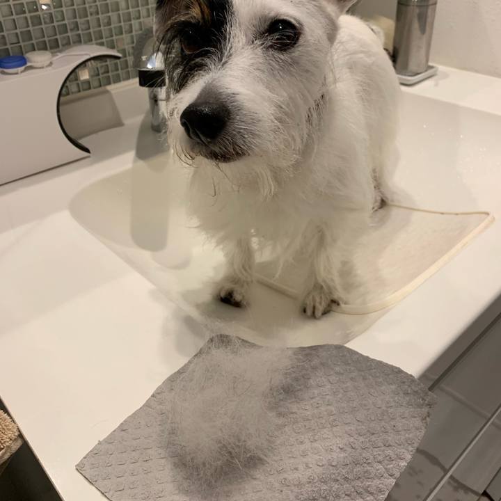 Cbc51d17 e886 47d9 ad27 aeaba6527358 1665533892896