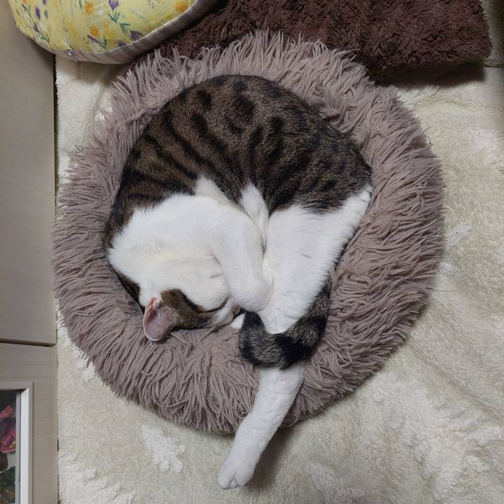 Cbc54736 e0da 4416 b62e 15ab206de491 1770727838212