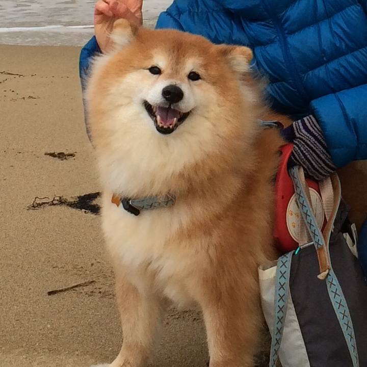 Cbc5a337 2162 4313 ba24 9d91d224a507 1537910851448