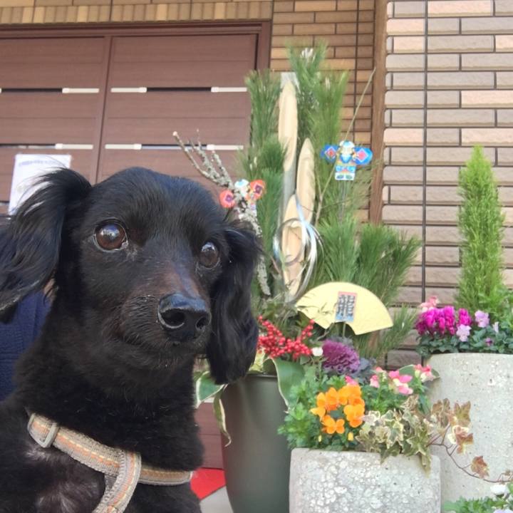 Cbc5c041 3352 4bca 9089 c31b647d155c 1546295768795