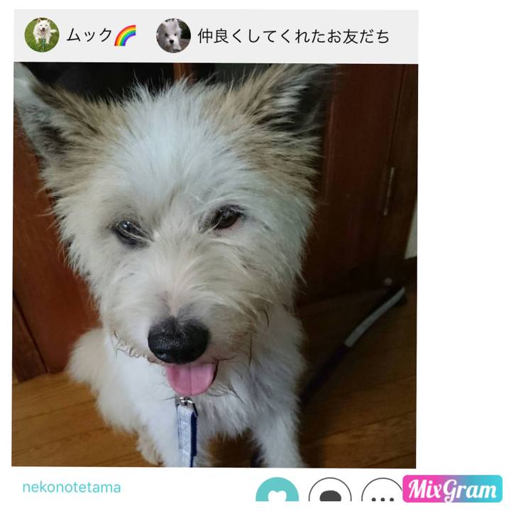 Cbc5c9a4 76e0 4a89 a7b4 f9d7be987999 1534903931053