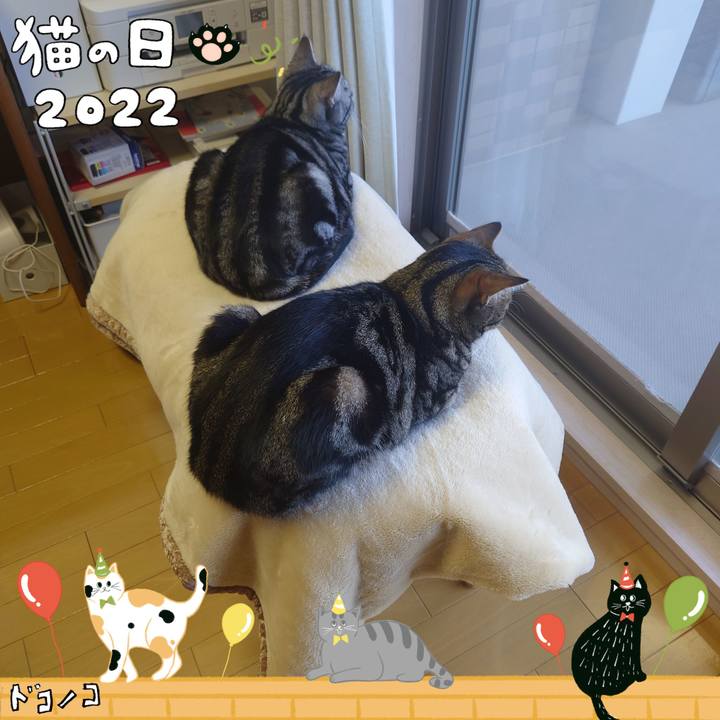 Cbc5cd86 34d7 44f9 b46f 261cb0157156 1645535202316