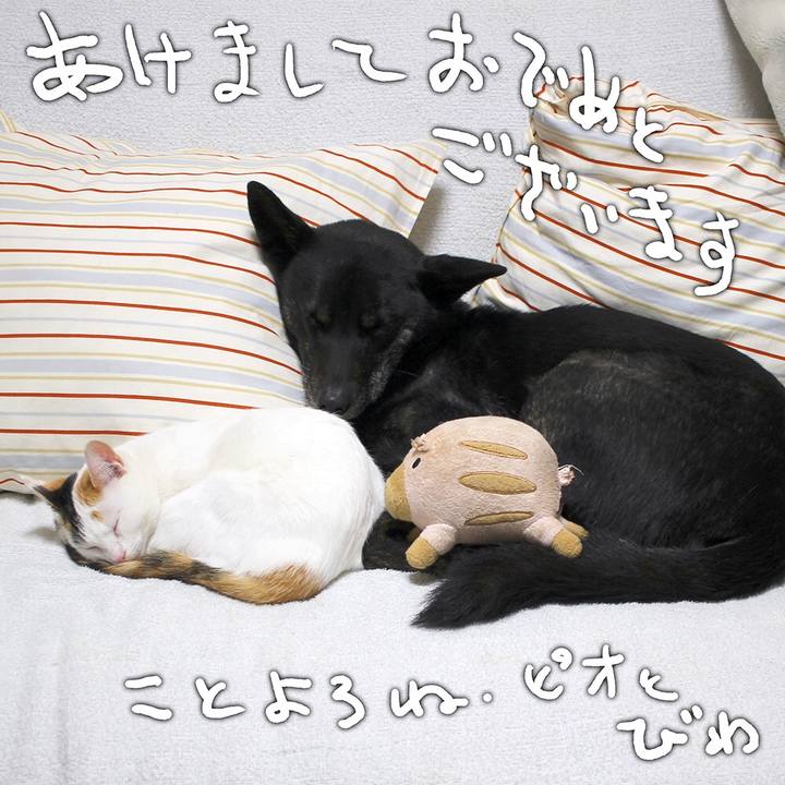 Cbc5ea6f ddfd 450b 8ad2 efc79cd7a7ca 1546273147490