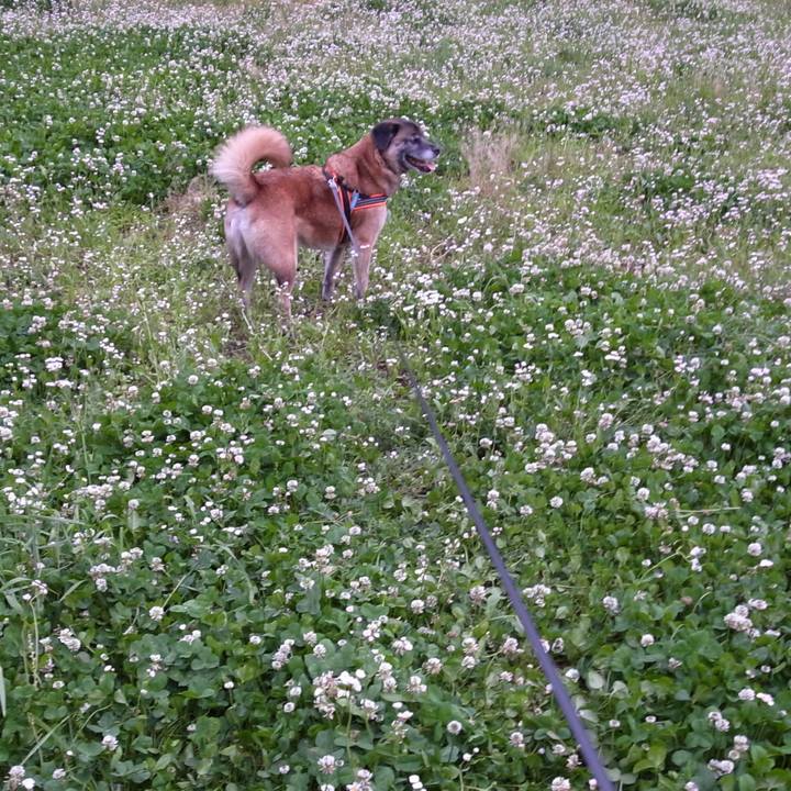 Cbc612f6 21a7 4ff2 85fb 579c43da1078 1581987959520