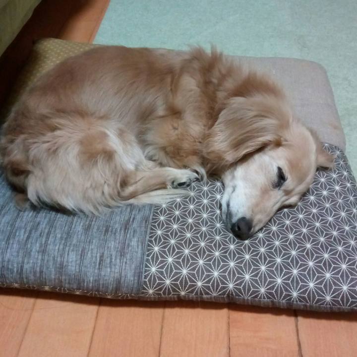 Cbc64b87 7f88 459b a970 661d5614d20a 1555912964501