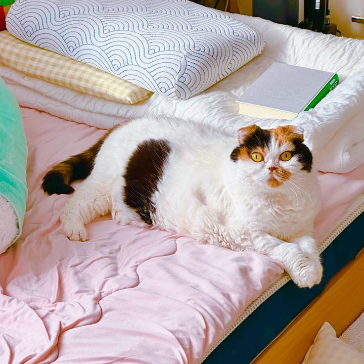 Cbc6588b c3e5 4cbc b7e4 7ea87147feb4 1735426338259