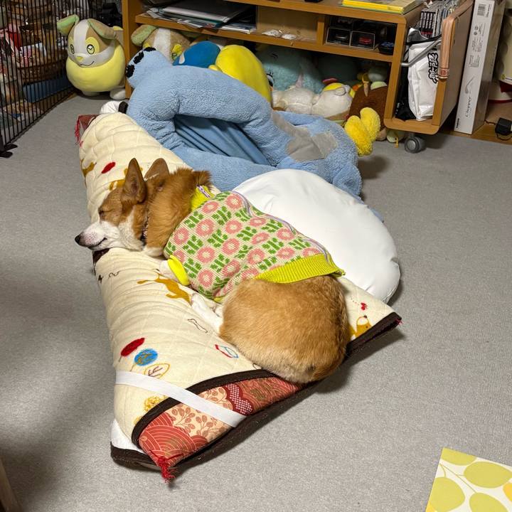 Cbc65d9b 5c34 4b64 a11d e35442982a66 1769358335443