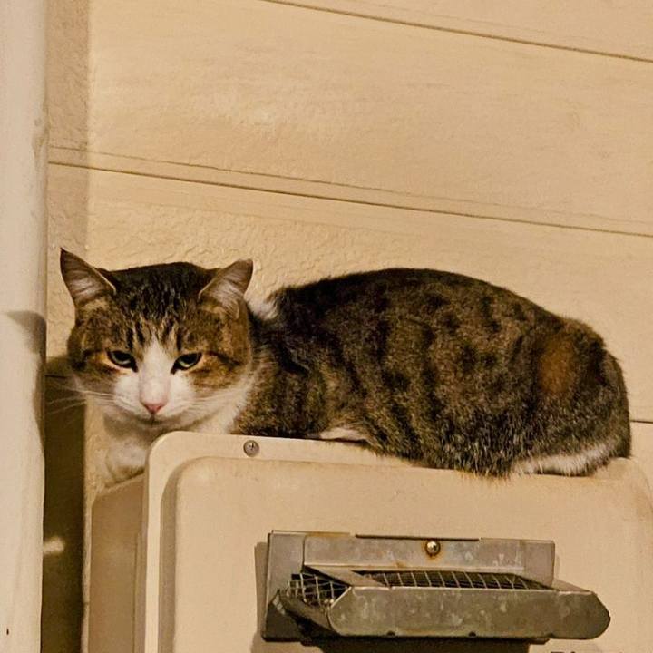 Cbc67fa6 57cb 40be b81d 42f5357dd5b5 1745411120779