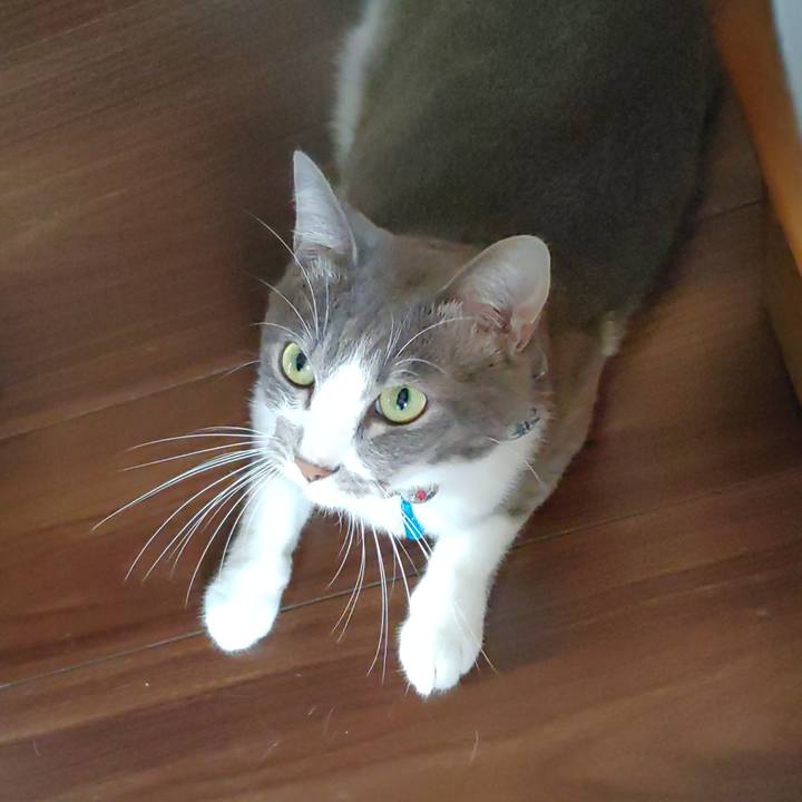 Cbc690a9 1283 4862 99ed 663e71dad767 1694910381398