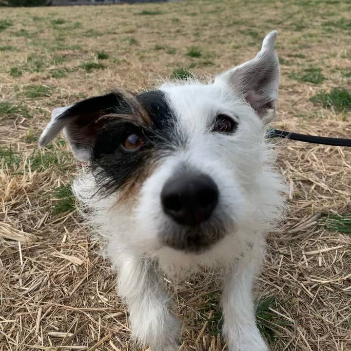 Cbc69a1d 1db4 4bc7 9489 d9720d8fc818 1679015074311