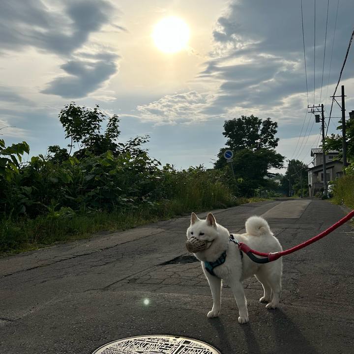 Cbc6ec23 ee33 4af1 9686 0efacd469296 1750454028982