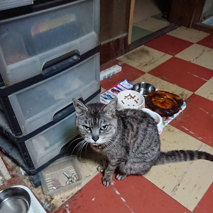 Cbc6f53c ff1d 47da b2be fb97de4b7f94 1595879734855