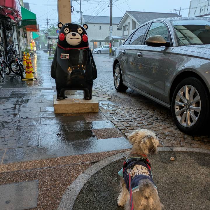 Cbc748a6 c106 453e bf6b 6f601733cea2 1747828789305