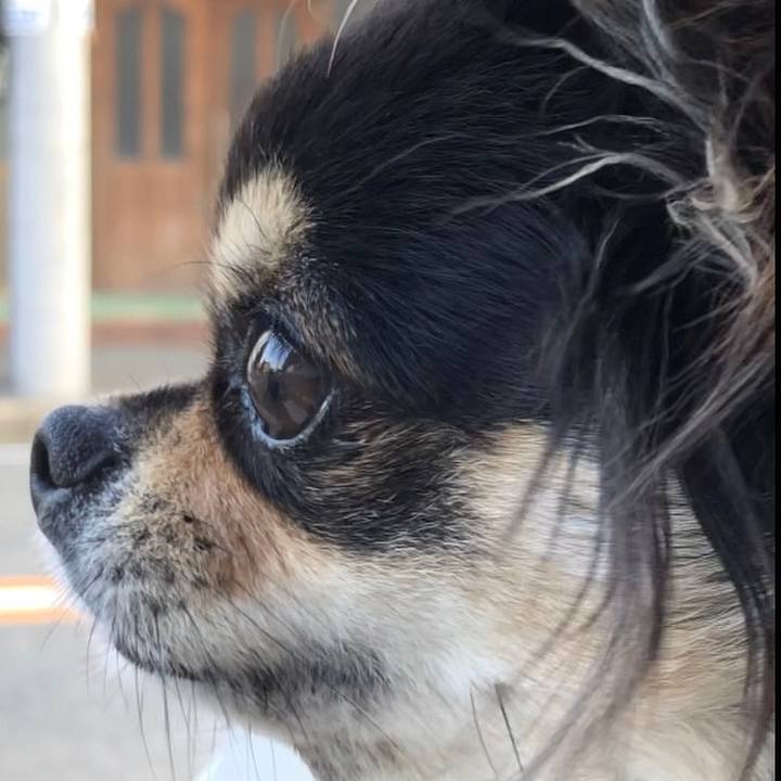 Cbc763dd 9ef2 4919 bb64 a79bc3314c5d 1592630438881