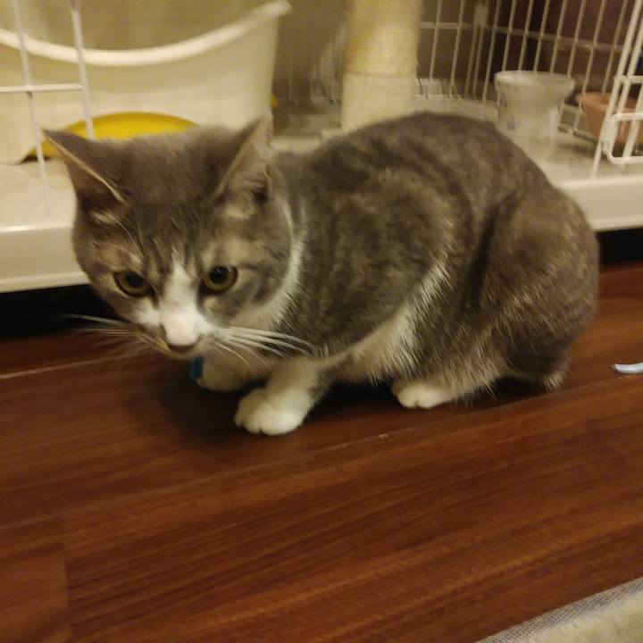 Cbc78eaa 5a11 4713 ab11 50e622d8663f 1587473698558