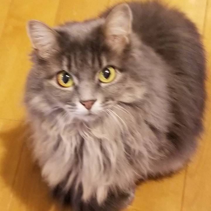 Cbc7a34a 6185 44e6 bf3f 0e86c6cbe68b 1575102030282