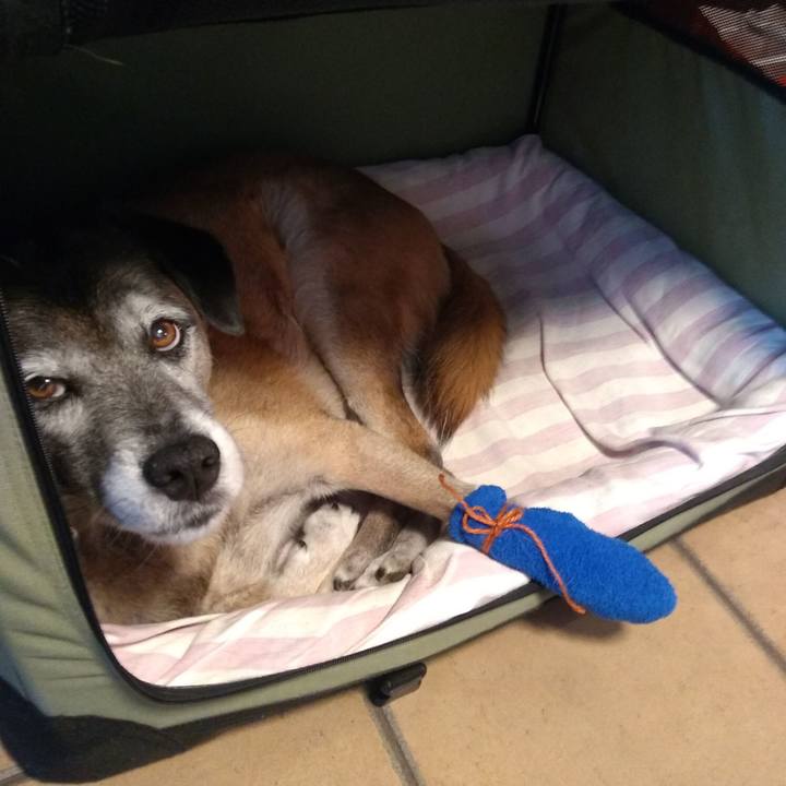 Cbc7b052 7cc3 4d20 b13c 1b01d930428a 1547165211832