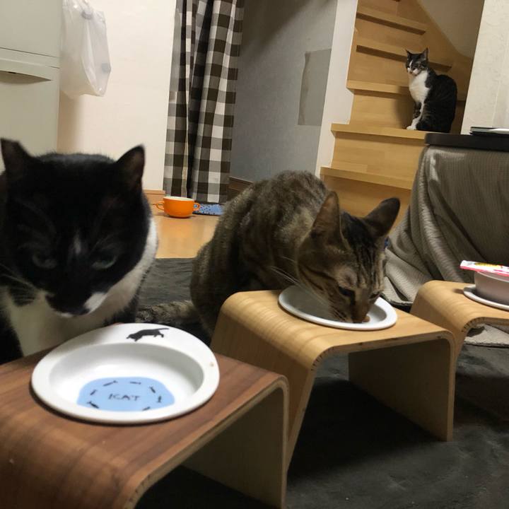 Cbc808f0 0b07 4454 a041 b02fe5a0a160 1646544132527