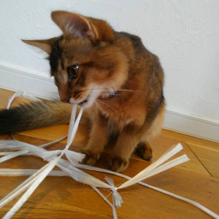 Cbc85524 6859 44c4 ade2 fd1a572a4bb7 1564289731469