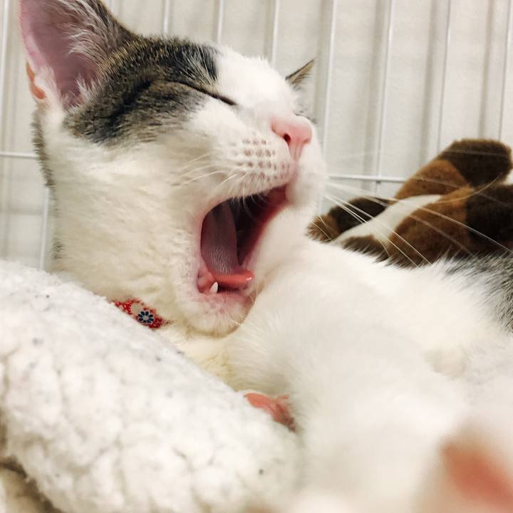 Cbc87d53 b32f 4cbb 8c2a c3d8b25d1d1e 1578223306026