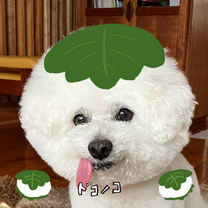 Cbc8803d 8f63 4102 8a44 d9ee0558c1c7 1749612341451