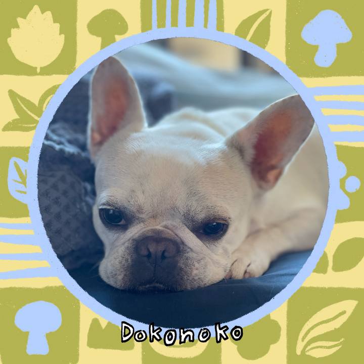 Cbc888ba 870e 477a 8a0d 80fa0fd29fa1 1761348195491