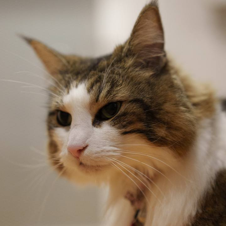 Cbc88a5c 387d 447b 89a0 6c35a8279f3b 1737292323688