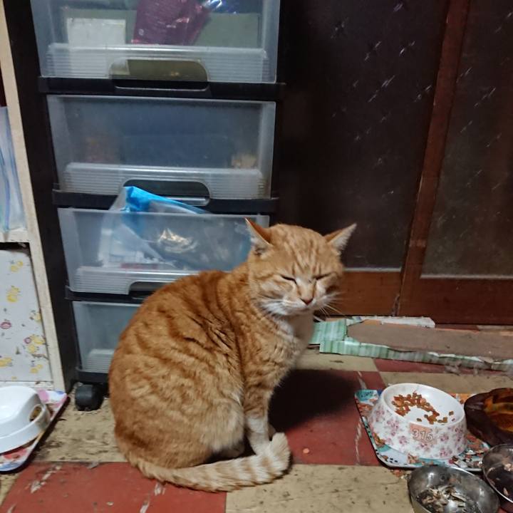 Cbc89e87 4c88 4d0a 93fa 9776247a0327 1580288268264