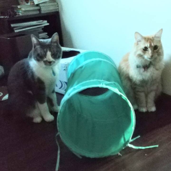 Cbc8a552 06c3 454e ba90 dad55676c97f 1635892083587