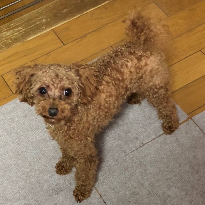 Cbc8d19e 6545 46e6 a6fc c2008887005c 1525594779002