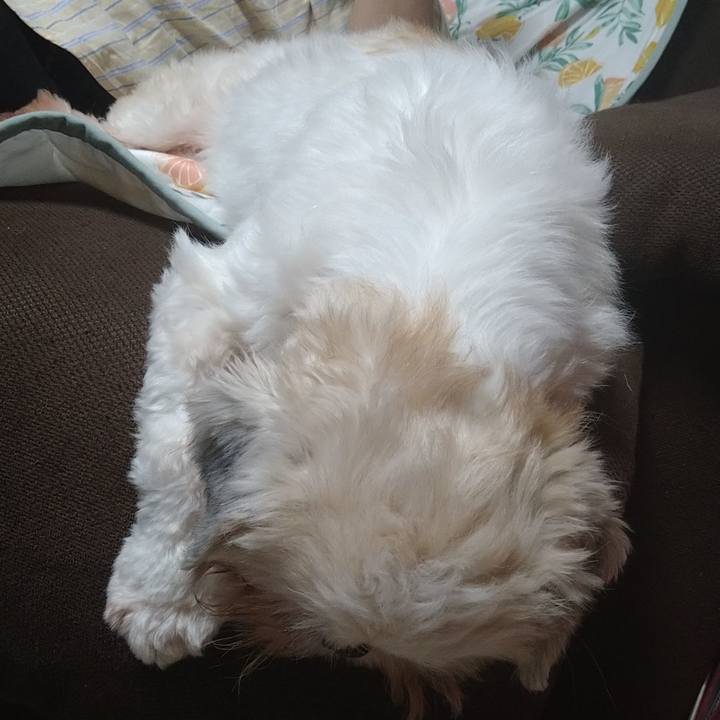 Cbc8edba 9347 4b43 b387 ab1683a9cadf 1599913615875